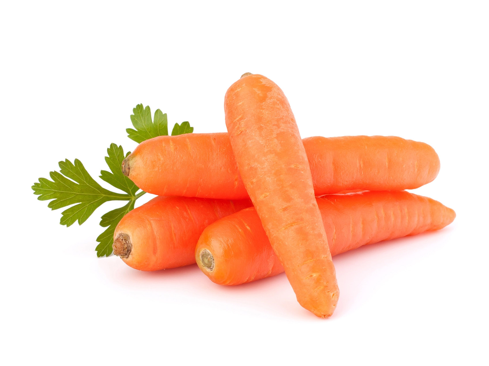 TURKISH CARROT