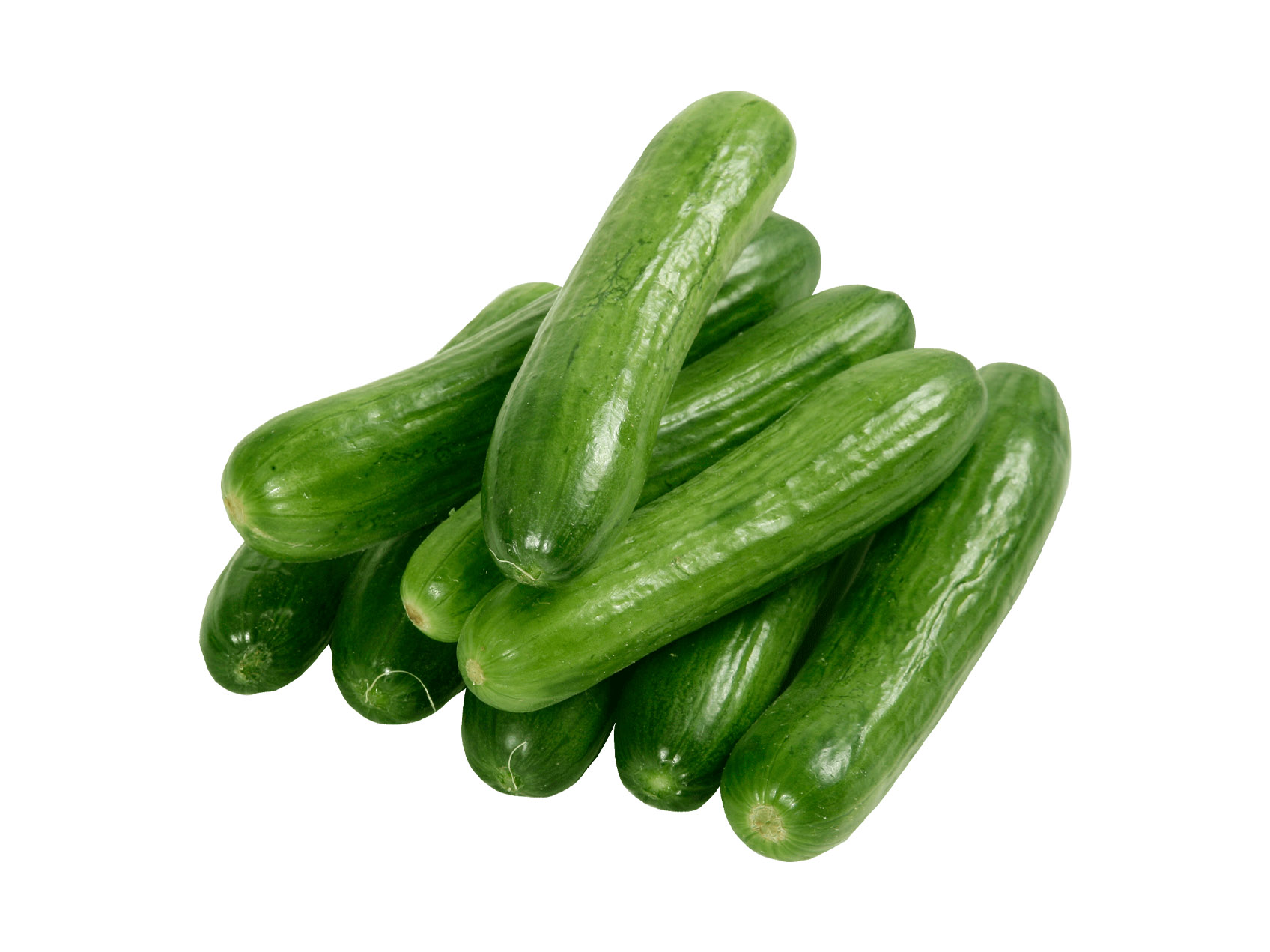 TURKISH CUCUMBER