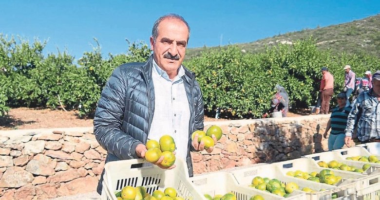 FRESH VEGETABLES AND FRUIT EXPORTS IN TURKEY WILL REACH 1.3 BILLION DOLLARS